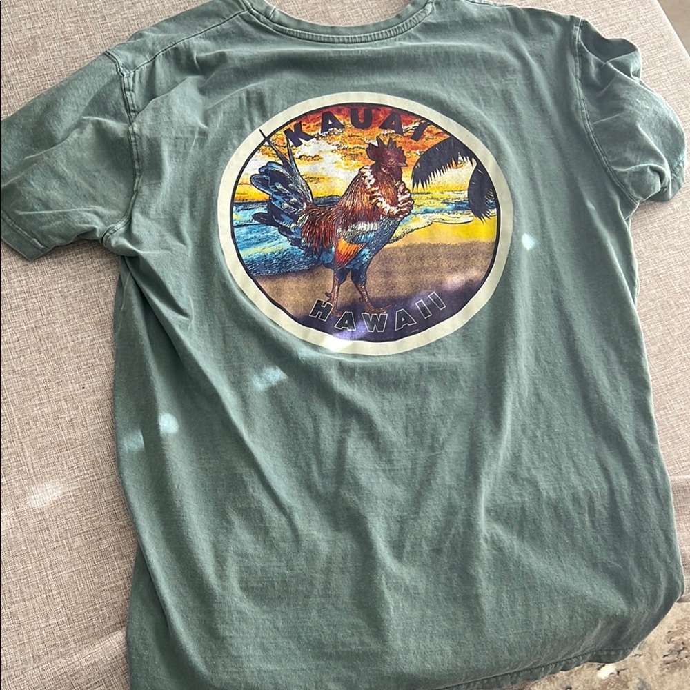 Kauai Hawaii Graphic Tee - Green